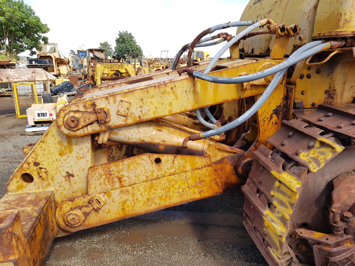 ZM008713_17.jpg